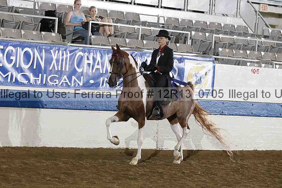 Proof 12r13_0705