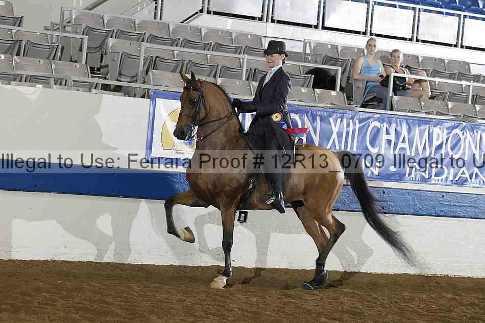 Proof 12r13_0709