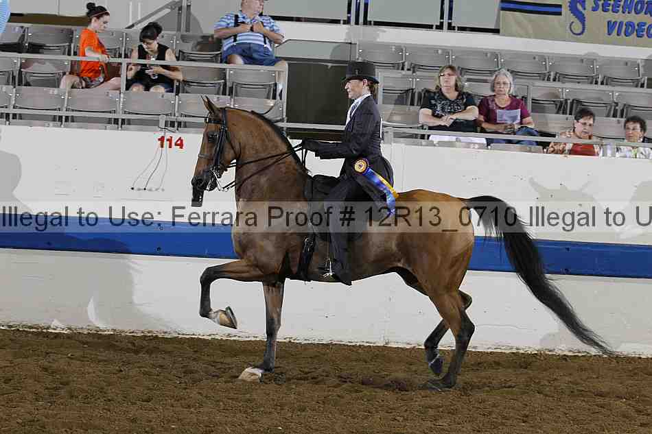 Proof 12r13_0710