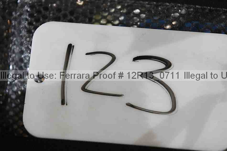 Proof 12r13_0711