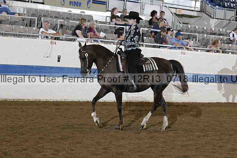 Proof 12r13_0718