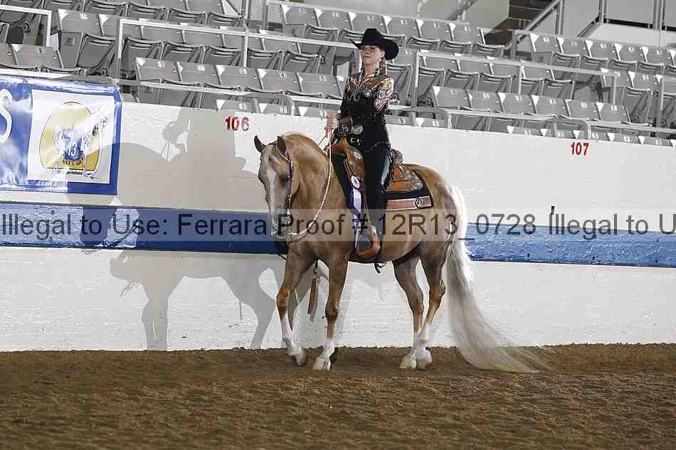 Proof 12r13_0728