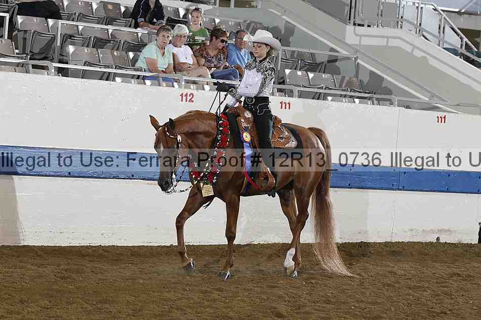 Proof 12r13_0736