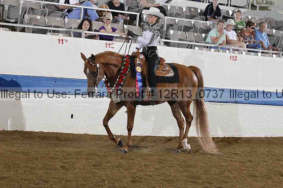 Proof 12r13_0737