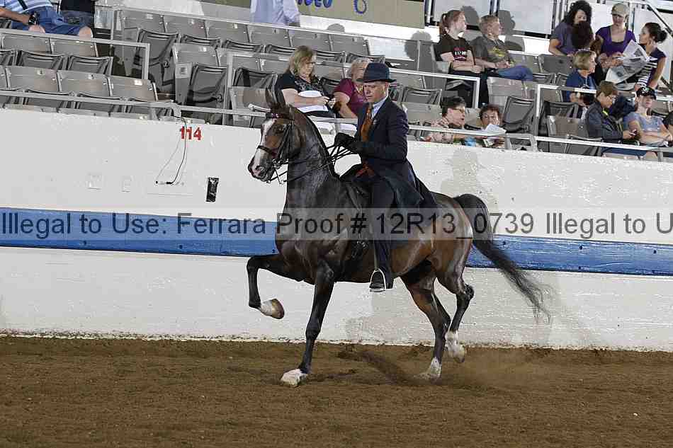 Proof 12r13_0739