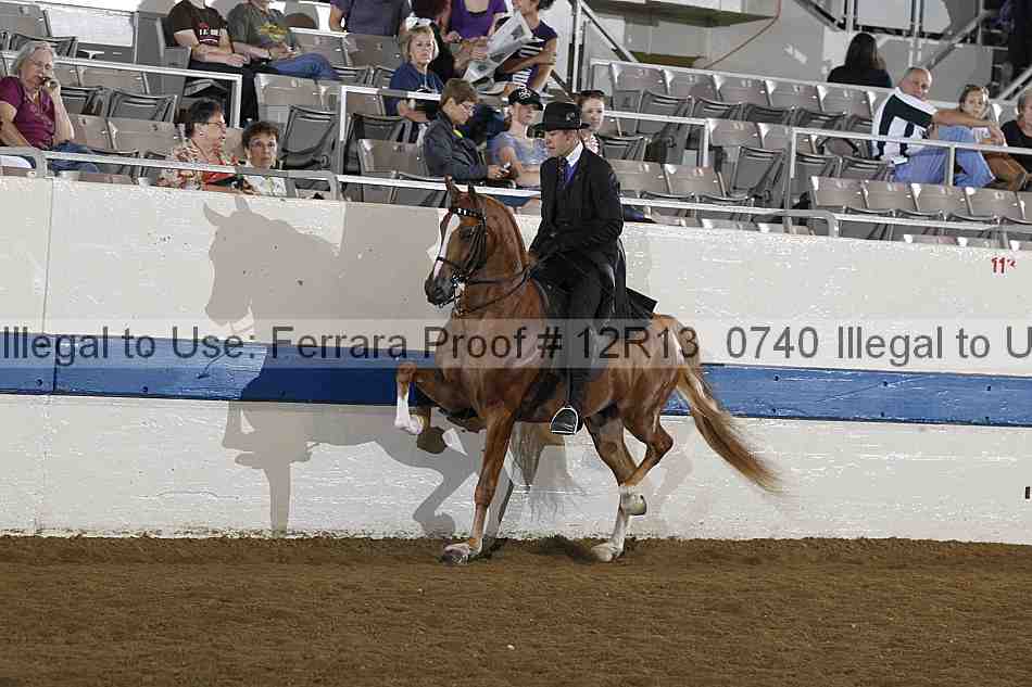 Proof 12r13_0740
