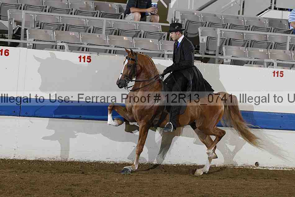 Proof 12r13_0741