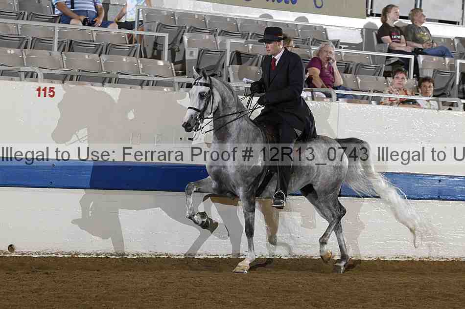 Proof 12r13_0743