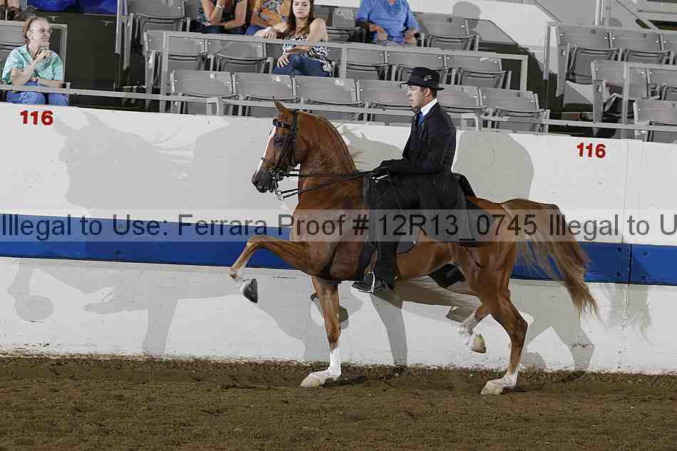 Proof 12r13_0745