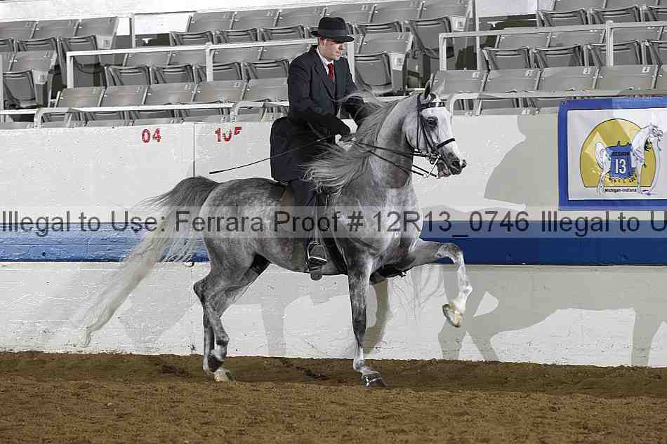 Proof 12r13_0746