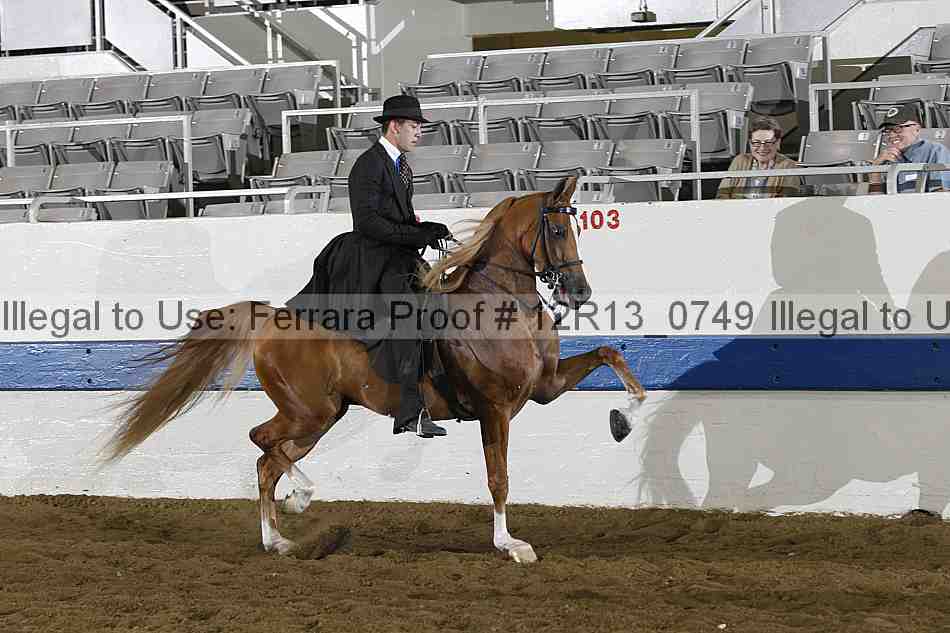 Proof 12r13_0749