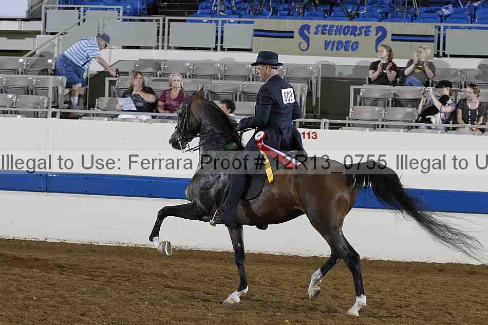 Proof 12r13_0755