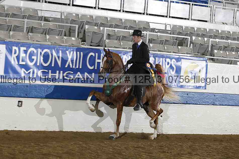Proof 12r13_0756