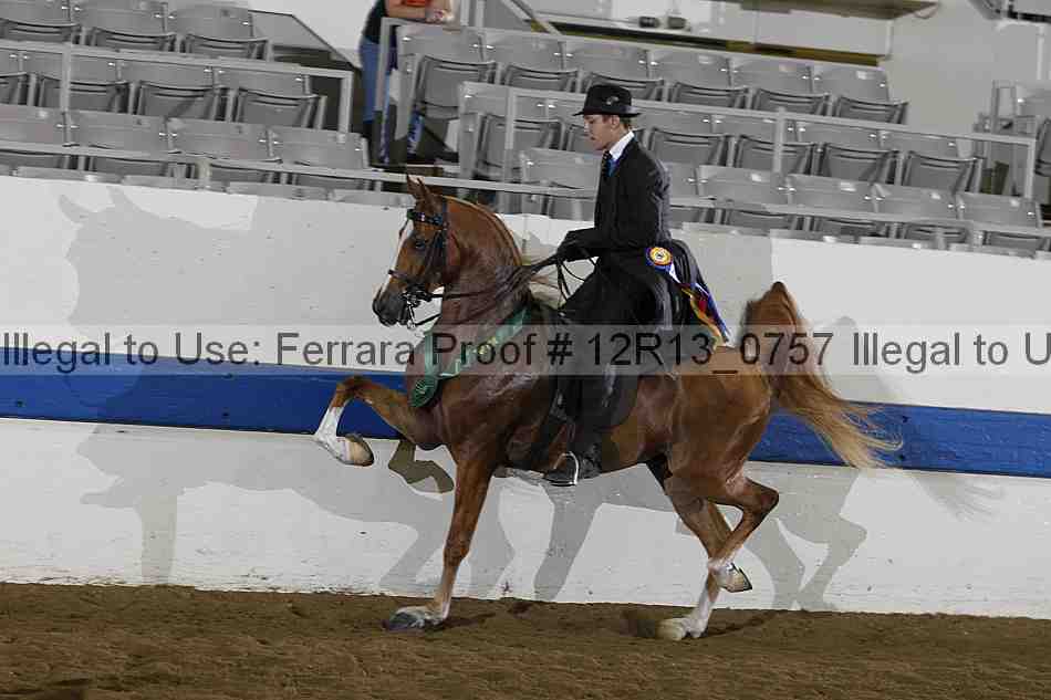 Proof 12r13_0757