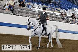 12r13_0771 proof