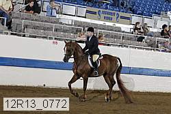 12r13_0772 proof