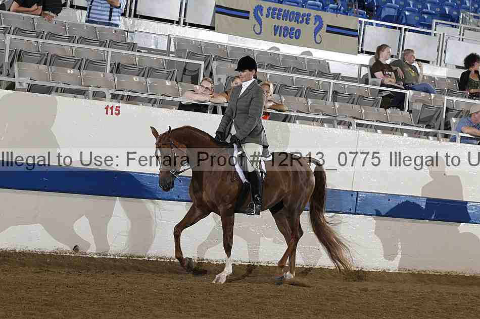Proof 12r13_0775