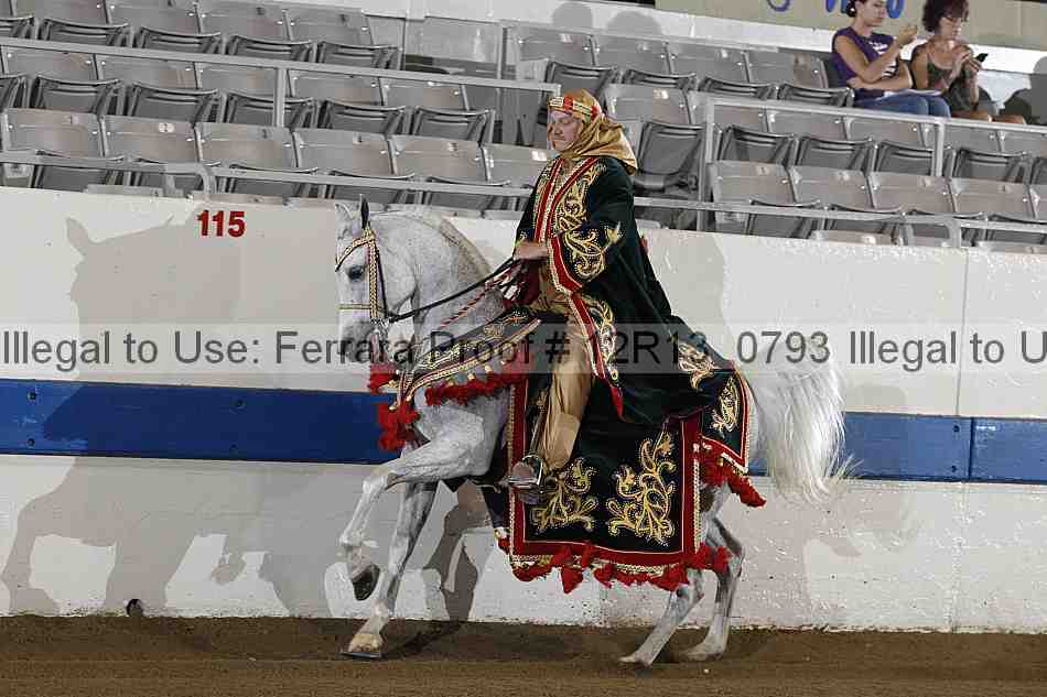 Proof 12r13_0793