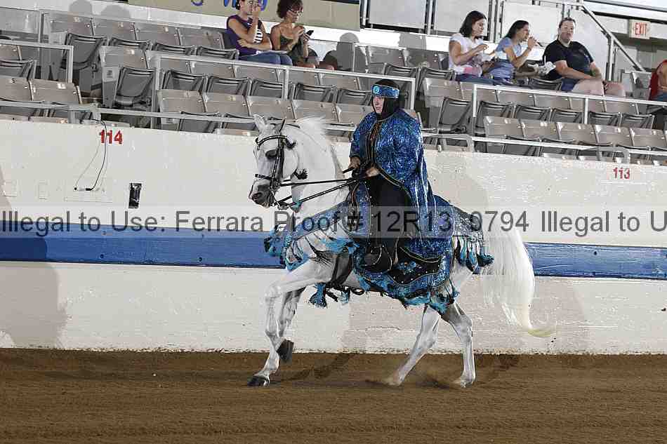 Proof 12r13_0794