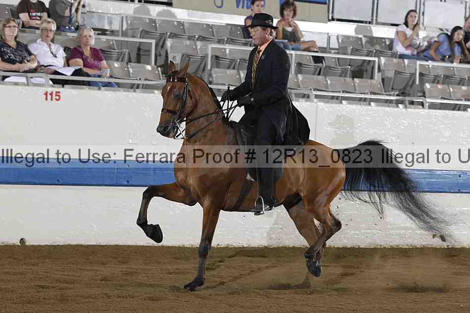 Proof 12r13_0823
