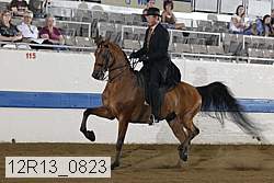 12r13_0823 proof