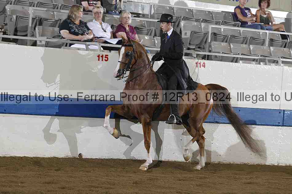 Proof 12r13_0824