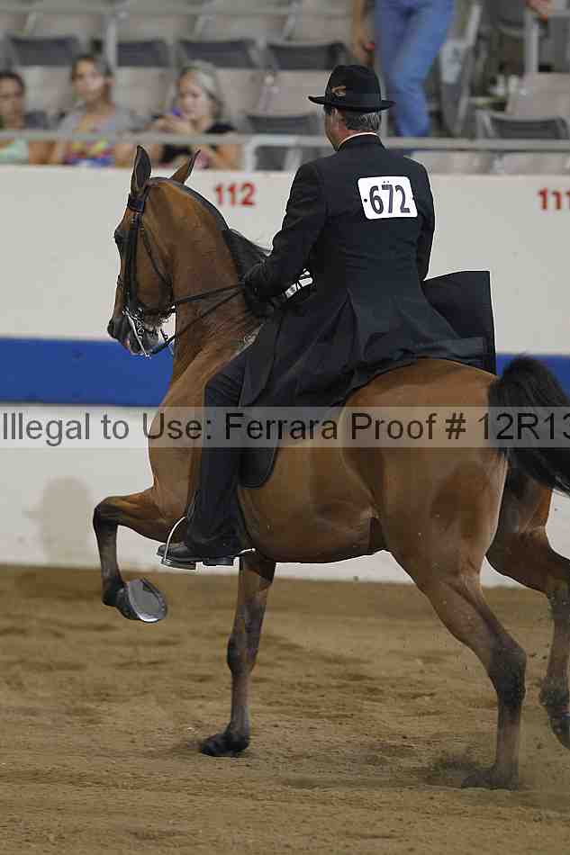Proof 12r13_0826