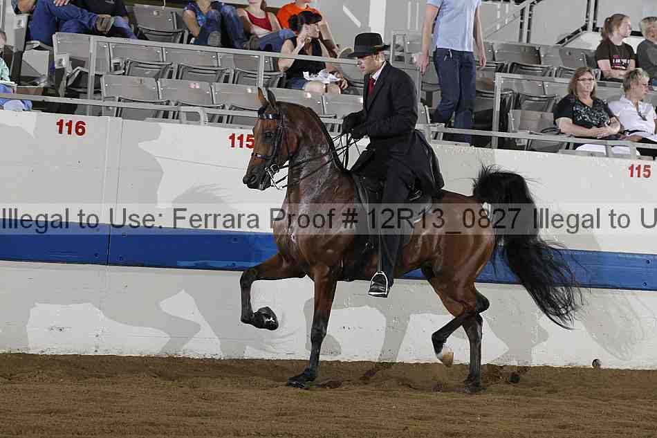 Proof 12r13_0827