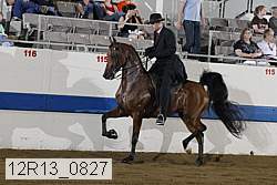 12r13_0827 proof