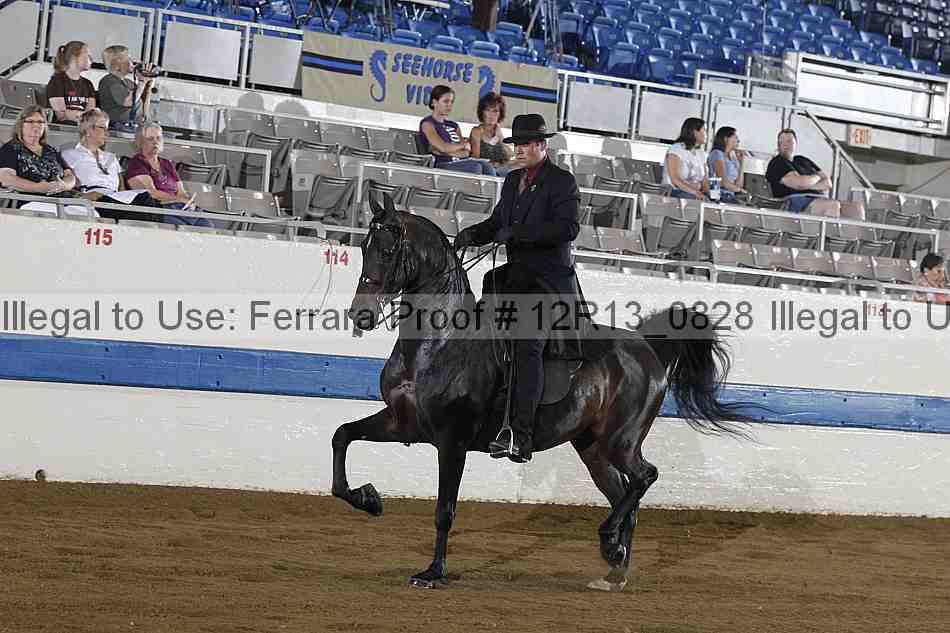 Proof 12r13_0828