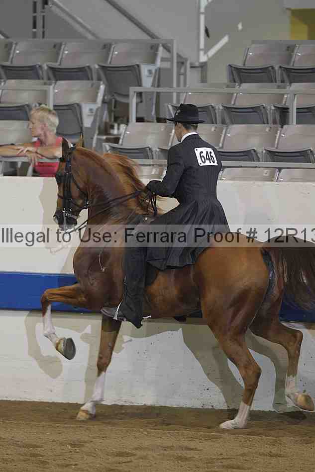 Proof 12r13_0829