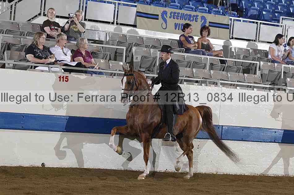 Proof 12r13_0834