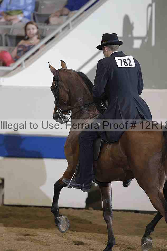 Proof 12r13_0835