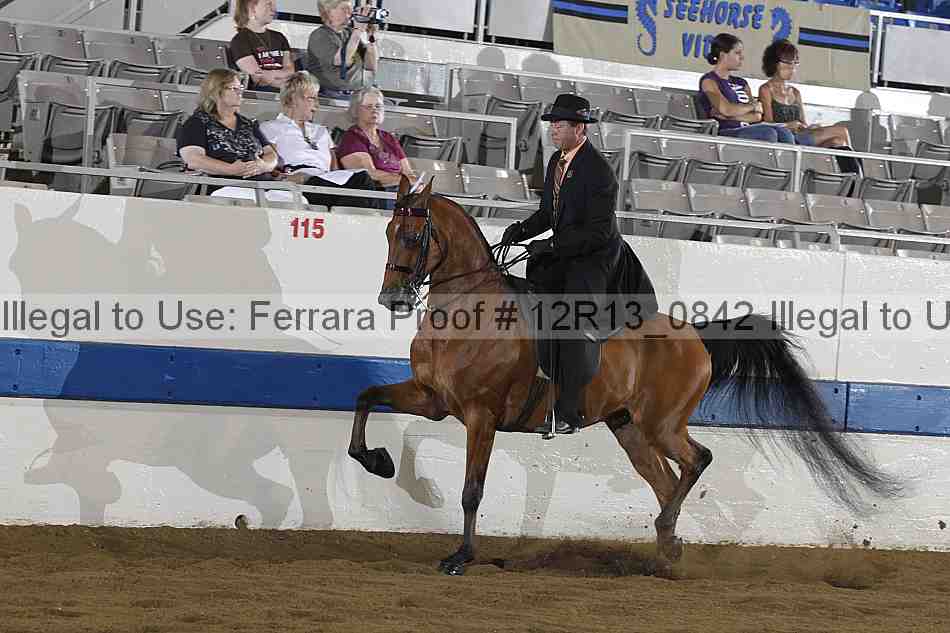 Proof 12r13_0842