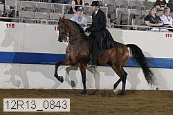12r13_0843 proof