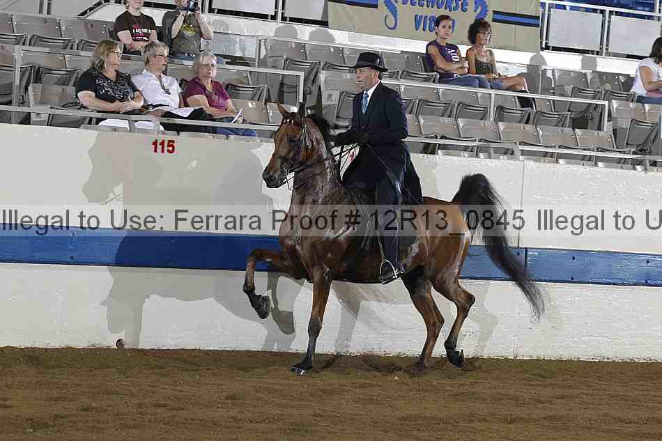 Proof 12r13_0845
