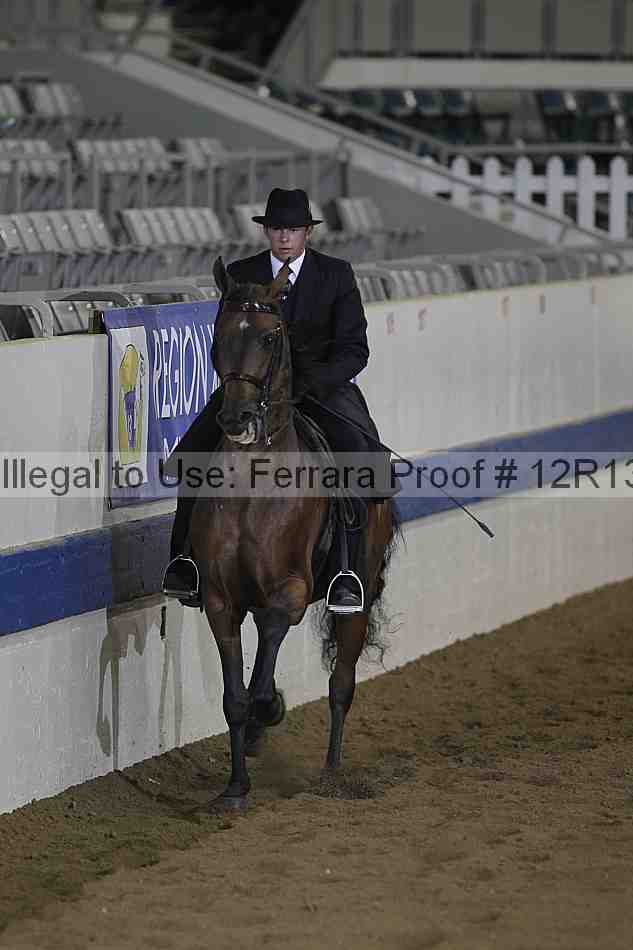 Proof 12r13_0847