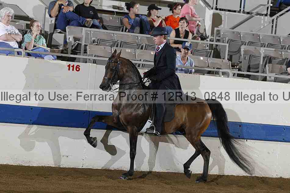 Proof 12r13_0848