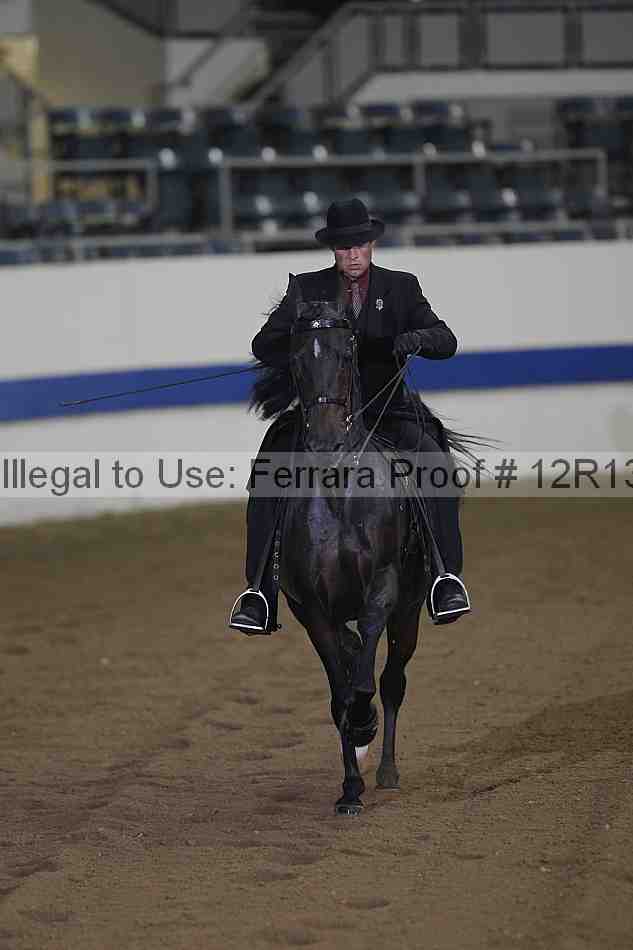 Proof 12r13_0855
