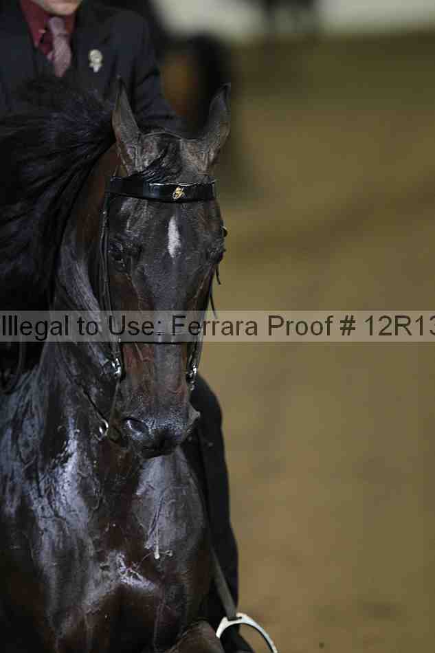 Proof 12r13_0856