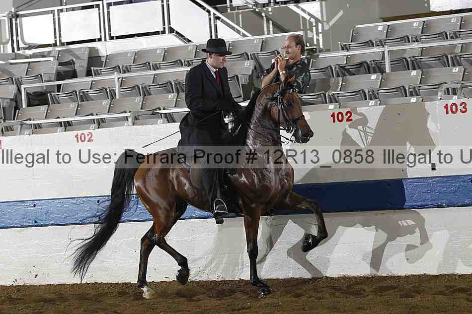 Proof 12r13_0858