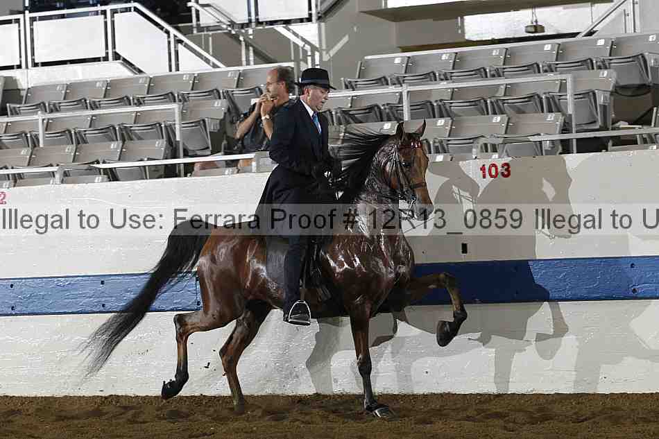 Proof 12r13_0859