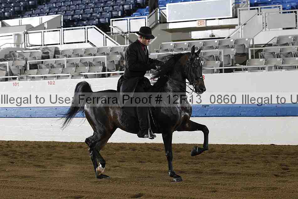Proof 12r13_0860