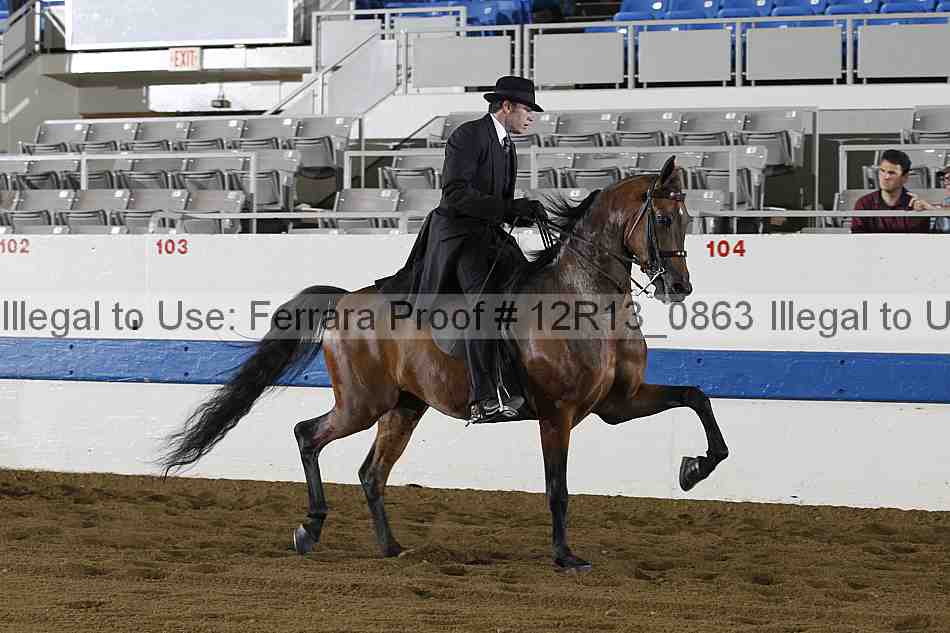 Proof 12r13_0863