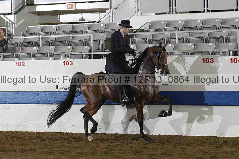 Proof 12r13_0864