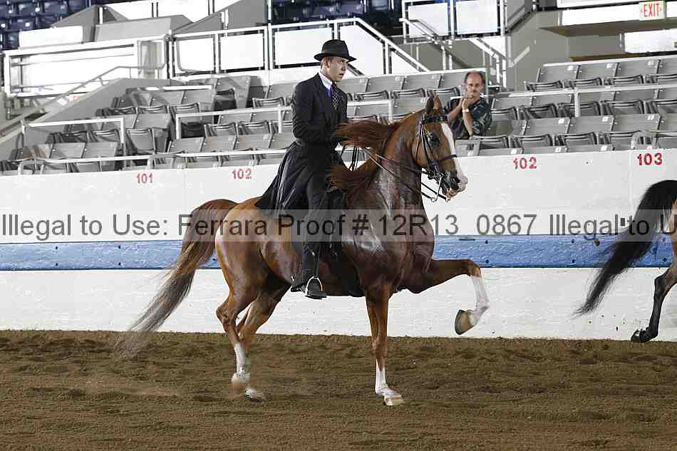 Proof 12r13_0867