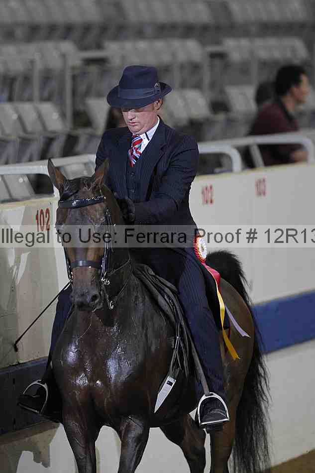 Proof 12r13_0870