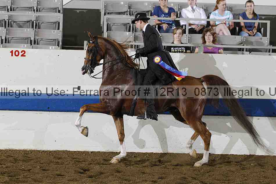 Proof 12r13_0873