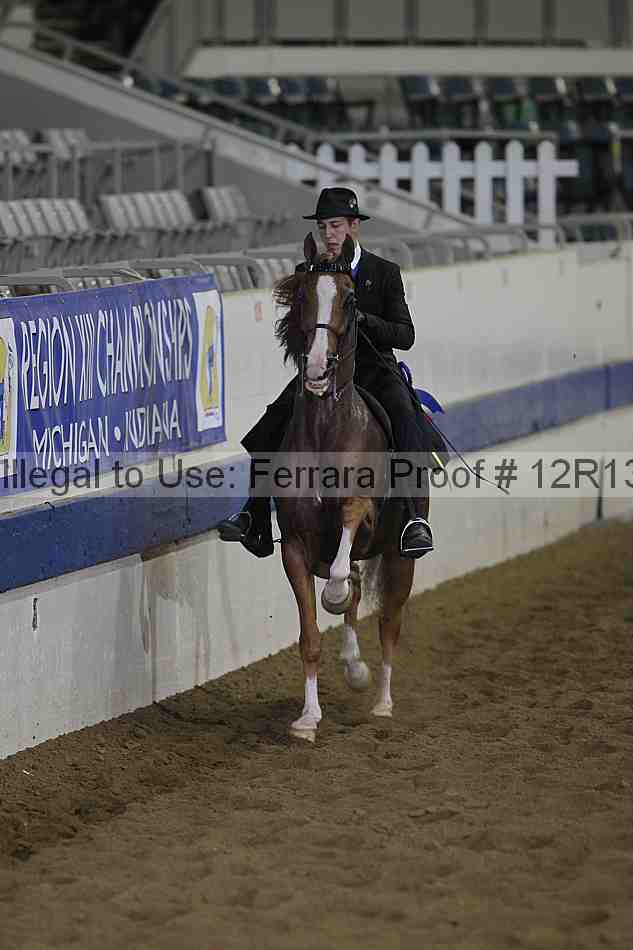Proof 12r13_0887