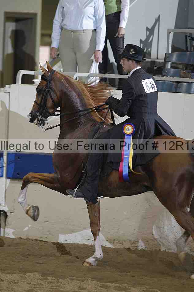 Proof 12r13_0891